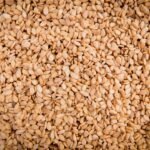 sesame, seeds, sesame seeds, sesamum indicum, pedaliaceae, oil plant, sesame plants, cultivated, healthy, food, nourishment, meal, natural product, sesame, sesame, sesame, sesame, sesame, sesame seeds, sesame seeds, sesame seeds, sesame seeds
